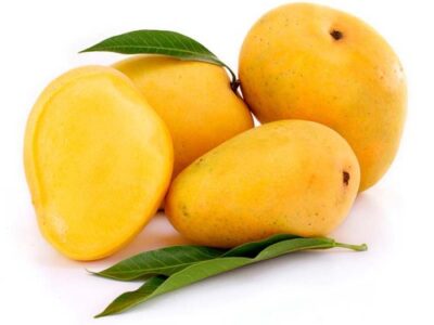 Alponsu mangoes