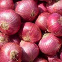 big onions 1kg